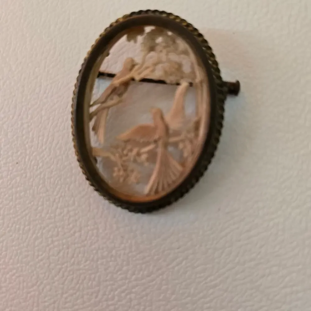 Depose France Celluloid Gold Tone Bird Oval Brooch Ornate Carved Antique Read